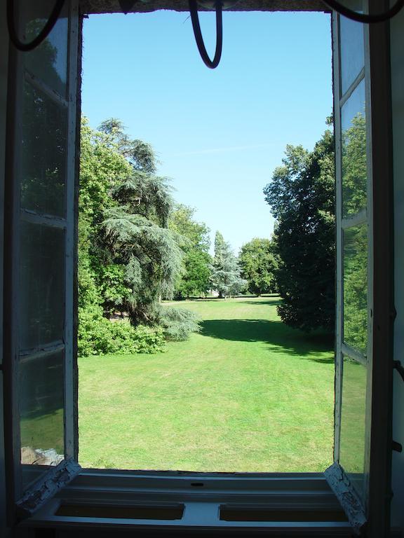 Chateau De La Marronniere Aizenay Zewnętrze zdjęcie